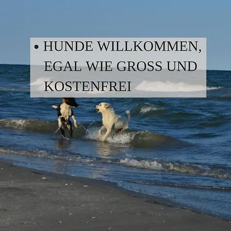 Haus Krabbe, Doppelzimmer 4, Fuer 1-2 Personen, Doppelbett, Ohne Kueche, Zentral Gelegen, Am Elbe-weser-radweg Mit Fahrradunterstellmoeglichkeit, Auch Fuer E-bikes, Ideal Fuer Kurzaufenthalte, Smart-tv 42 Zoll, Kostenfreier Parkplatz, Alloggio in famiglia Wremen