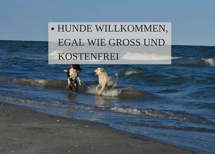 Haus Krabbe, Doppelzimmer 4, Fuer 1-2 Personen, Doppelbett, Ohne Kueche, Zentral Gelegen, Am Elbe-weser-radweg Mit Fahrradunterstellmoeglichkeit, Auch Fuer E-bikes, Ideal Fuer Kurzaufenthalte, Smart-tv 42 Zoll, Kostenfreier Parkplatz, ホームステイ ヴレーメン